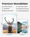 Natur Poster Set