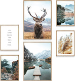 Natur Poster Set